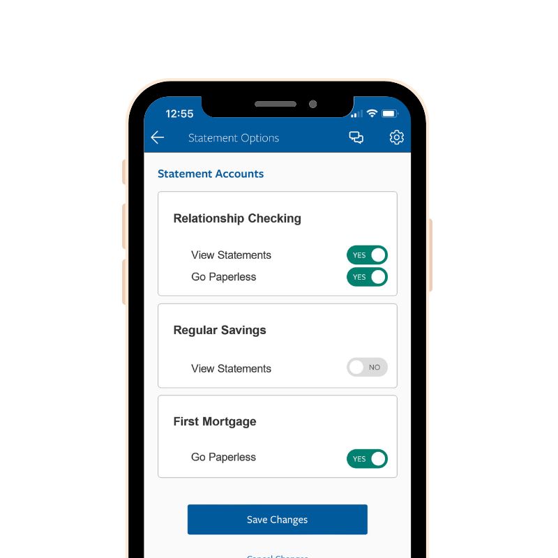 Statement options screen in app